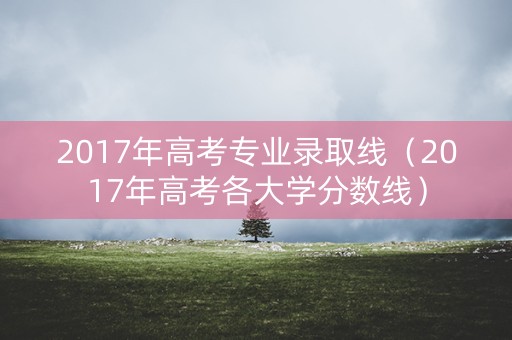 2017年高考专业录取线(2017年高考各大学分数线) 2017年高考专业录取线(2017年高考各大学分数线)