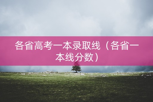 各省高考一本录取线(各省一本线分数) 各省高考一本录取线(各省一本线分数)
