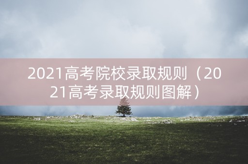 2021高考院校录取规则(2021高考录取规则图解) 2021高考院校录取规则(2021高考录取规则图解)
