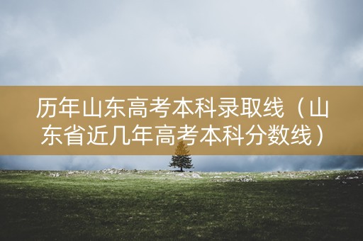 历年山东高考本科录取线(山东省近几年高考本科分数线) 历年山东高考本科录取线(山东省近几年高考本科分数线)
