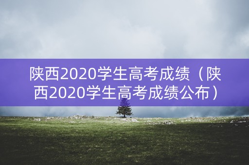 陕西2020学生高考成绩(陕西2020学生高考成绩公布) 陕西2020学生高考成绩(陕西2020学生高考成绩公布)