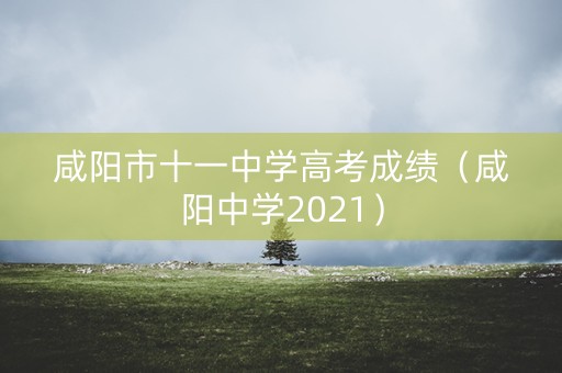 咸阳市十一中学高考成绩(咸阳中学2021) 咸阳市十一中学高考成绩(咸阳中学2021)