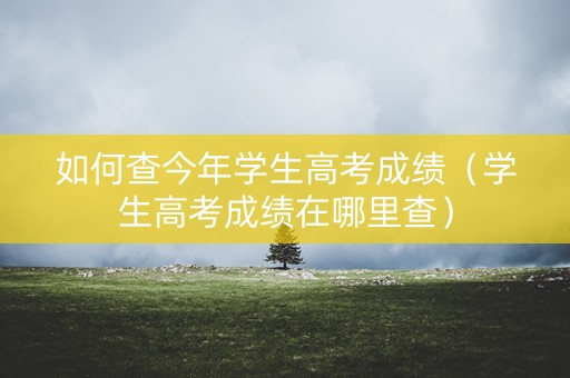 如何查今年学生高考成绩(学生高考成绩在哪里查) 如何查今年学生高考成绩(学生高考成绩在哪里查)