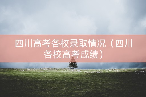 四川高考各校录取情况(四川各校高考成绩) 四川高考各校录取情况(四川各校高考成绩)