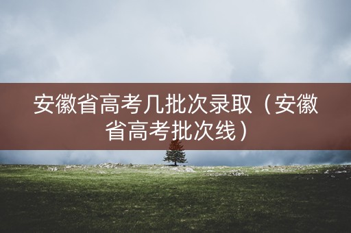 安徽省高考几批次录取(安徽省高考批次线) 安徽省高考几批次录取(安徽省高考批次线)