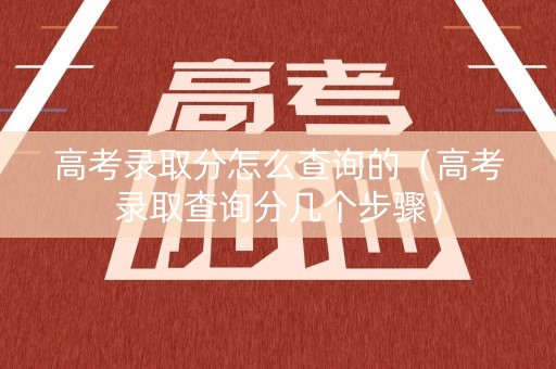 高考录取分怎么查询的（高考录取查询分几个步骤）