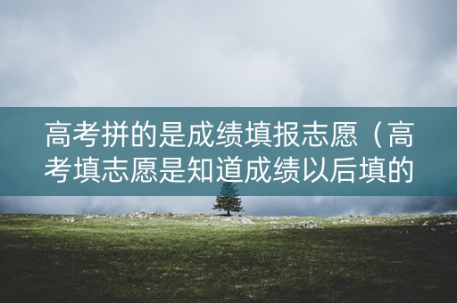 高考拼的是成绩填报志愿(高考填志愿是知道成绩以后填的吗) 高考拼的是成绩填报志愿(高考填志愿是知道成绩以后填的吗)