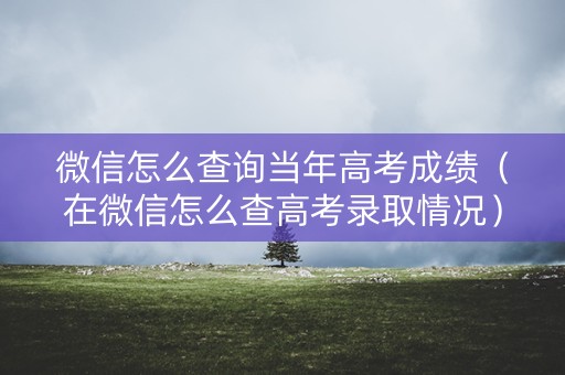 微信怎么查询当年高考成绩（在微信怎么查高考录取情况）