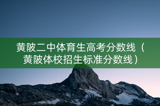 黄陂二中体育生高考分数线(黄陂体校招生标准分数线) 黄陂二中体育生高考分数线(黄陂体校招生标准分数线)