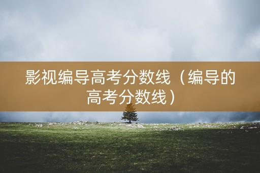 影视编导高考分数线(编导的高考分数线) 影视编导高考分数线(编导的高考分数线)