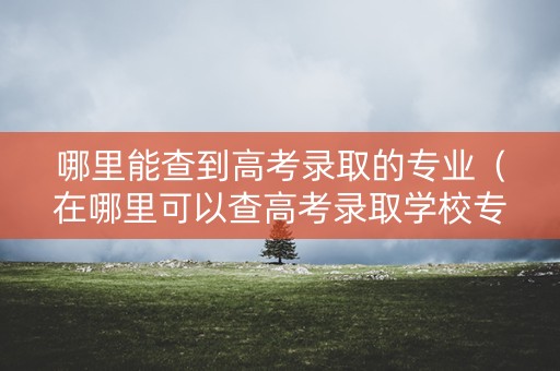 哪里能查到高考录取的专业(在哪里可以查高考录取学校专业) 哪里能查到高考录取的专业(在哪里可以查高考录取学校专业)