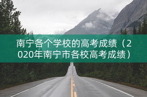 南宁各个学校的高考成绩（2020年南宁市各校高考成绩）