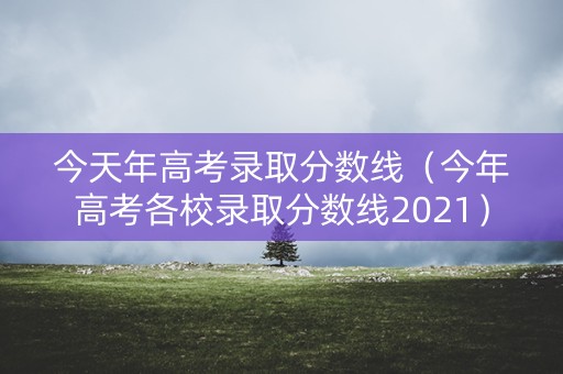 今天年高考录取分数线（今年高考各校录取分数线2021）