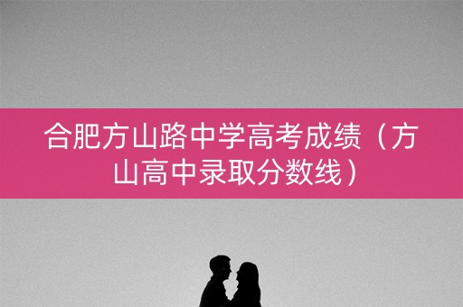 合肥方山路中学高考成绩(方山高中录取分数线) 合肥方山路中学高考成绩(方山高中录取分数线)
