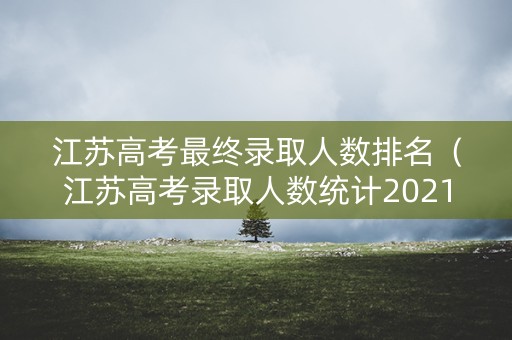 江苏高考最终录取人数排名(江苏高考录取人数统计2021) 江苏高考最终录取人数排名(江苏高考录取人数统计2021)