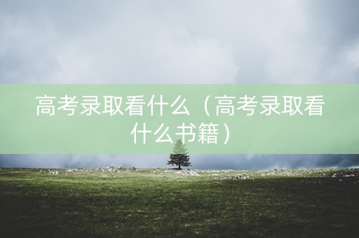 高考录取看什么（高考录取看什么书籍）