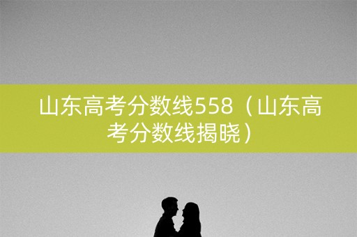 山东高考分数线558(山东高考分数线揭晓) 山东高考分数线558(山东高考分数线揭晓)