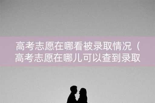 高考志愿在哪看被录取情况(高考志愿在哪儿可以查到录取状态) 高考志愿在哪看被录取情况(高考志愿在哪儿可以查到录取状态)