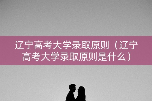 辽宁高考大学录取原则（辽宁高考大学录取原则是什么）