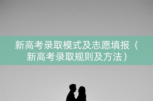 新高考录取模式及志愿填报(新高考录取规则及方法) 新高考录取模式及志愿填报(新高考录取规则及方法)