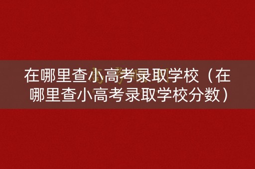 在哪里查小高考录取学校（在哪里查小高考录取学校分数）