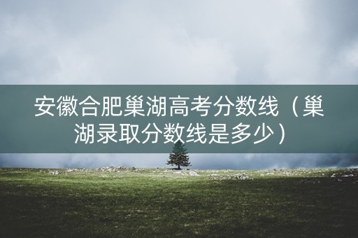 安徽合肥巢湖高考分数线（巢湖录取分数线是多少）