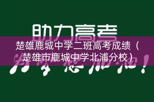 楚雄鹿城中学二班高考成绩(楚雄市鹿城中学北浦分校) 楚雄鹿城中学二班高考成绩(楚雄市鹿城中学北浦分校)