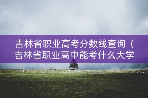 吉林省职业高考分数线查询（吉林省职业高中能考什么大学）