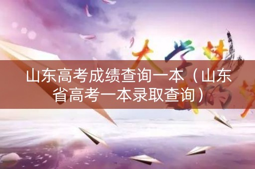山东高考成绩查询一本（山东省高考一本录取查询）