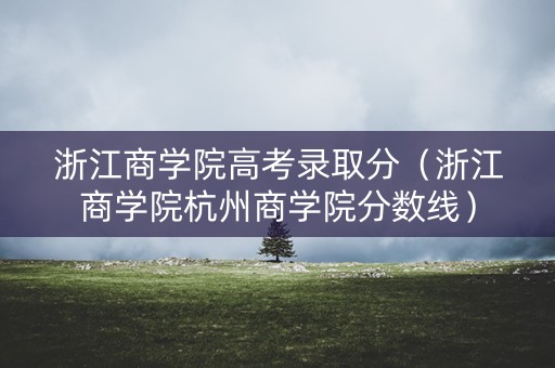 浙江商学院高考录取分（浙江商学院杭州商学院分数线）