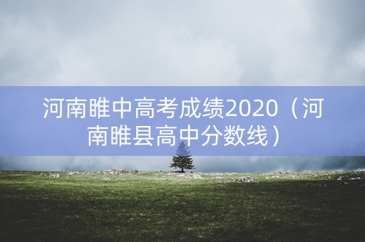 河南睢中高考成绩2020（河南睢县高中分数线）