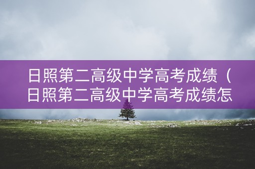 日照第二高级中学高考成绩(日照第二高级中学高考成绩怎么样) 日照第二高级中学高考成绩(日照第二高级中学高考成绩怎么样)