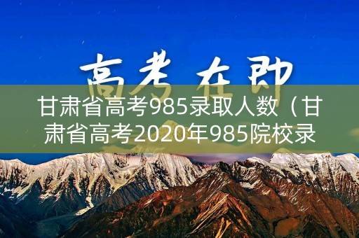 甘肃省高考985录取人数（甘肃省高考2020年985院校录取人数）