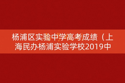 杨浦区实验中学高考成绩（上海民办杨浦实验学校2019中考录取）
