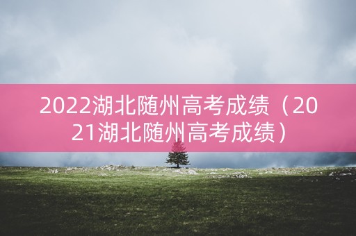 2022湖北随州高考成绩（2021湖北随州高考成绩）