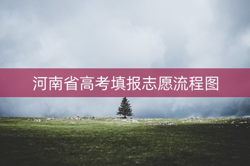 河南省高考填报志愿流程图