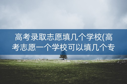 高考录取志愿填几个学校(高考志愿一个学校可以填几个专业) 高考录取志愿填几个学校(高考志愿一个学校可以填几个专业)