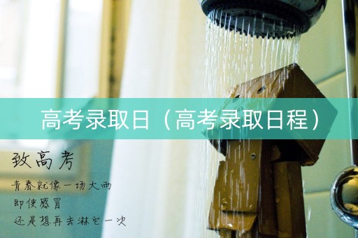 高考录取日（高考录取日程）