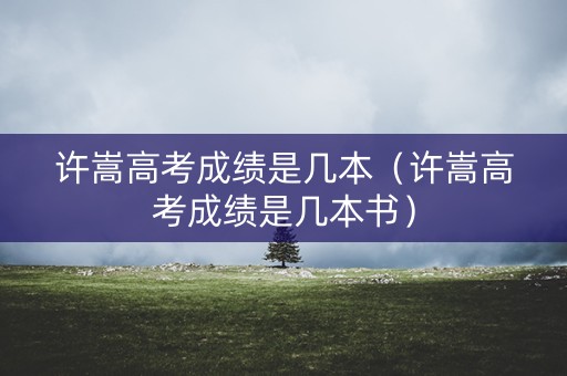 许嵩高考成绩是几本（许嵩高考成绩是几本书）