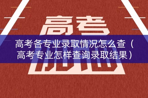 高考各专业录取情况怎么查（高考专业怎样查询录取结果）