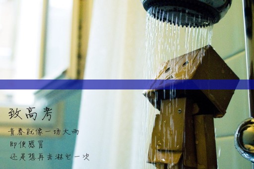 查询成人高考录取状态方式（成人高考网上查询录取状态）