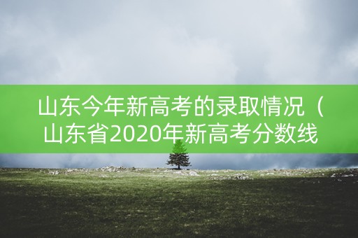 山东今年新高考的录取情况（山东省2020年新高考分数线会高还是会低）