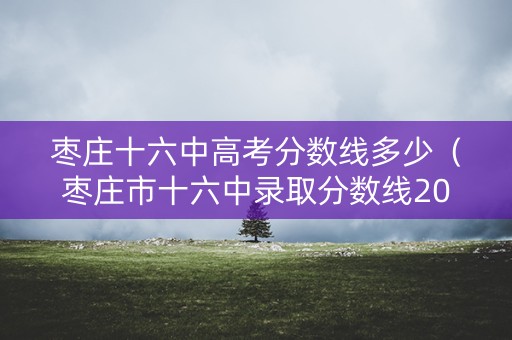 枣庄十六中高考分数线多少(枣庄市十六中录取分数线2021) 枣庄十六中高考分数线多少(枣庄市十六中录取分数线2021)