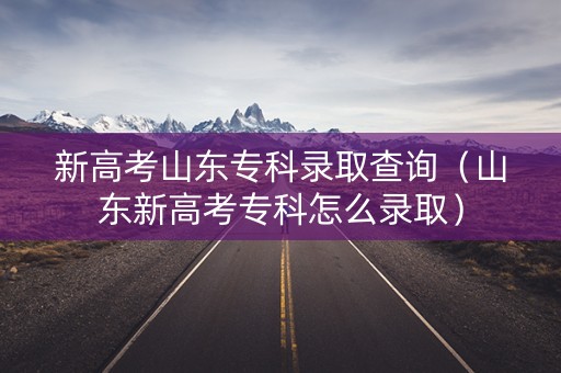 新高考山东专科录取查询（山东新高考专科怎么录取）