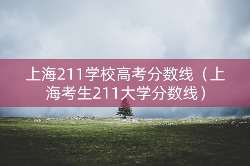 上海211学校高考分数线(上海考生211大学分数线) 上海211学校高考分数线(上海考生211大学分数线)