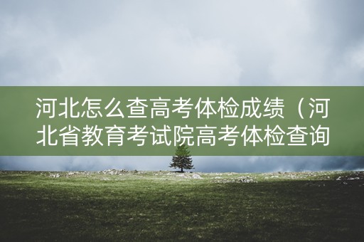 河北怎么查高考体检成绩(河北省教育考试院高考体检查询) 河北怎么查高考体检成绩(河北省教育考试院高考体检查询)