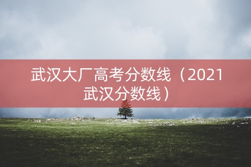武汉大厂高考分数线（2021武汉分数线）