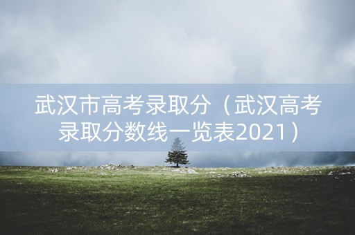 武汉市高考录取分(武汉高考录取分数线一览表2021) 武汉市高考录取分(武汉高考录取分数线一览表2021)