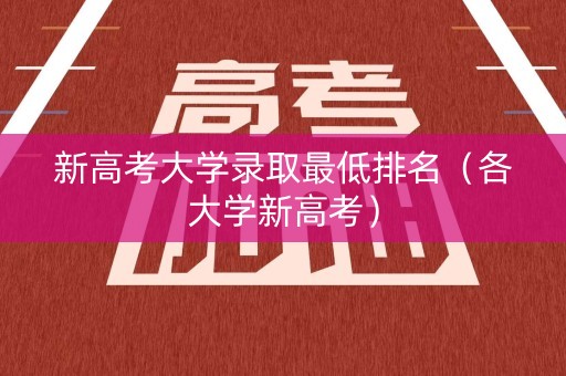 新高考大学录取最低排名(各大学新高考) 新高考大学录取最低排名(各大学新高考)
