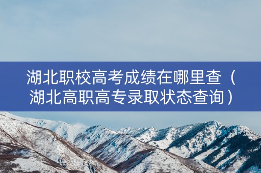 湖北职校高考成绩在哪里查(湖北高职高专录取状态查询) 湖北职校高考成绩在哪里查(湖北高职高专录取状态查询)